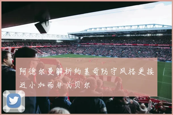 阿德尔曼解析约基奇防守风格更接近小加而非戈贝尔
