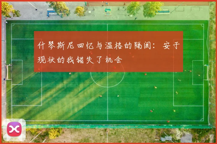 什琴斯尼回忆与温格的隔阂：安于现状的我错失了机会