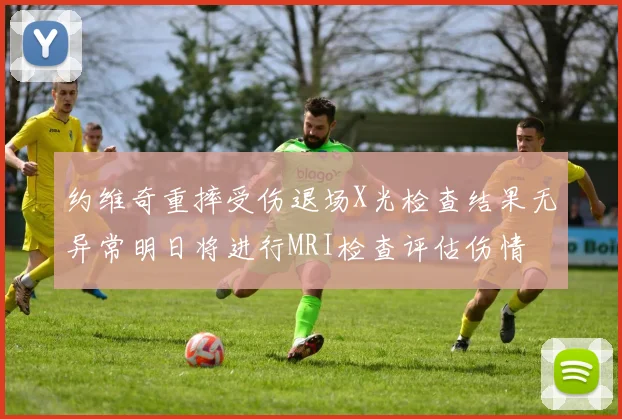 约维奇重摔受伤退场X光检查结果无异常明日将进行MRI检查评估伤情