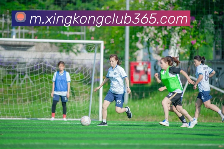 星空体育发展历程